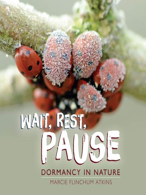 Cover image for Wait, Rest, Pause